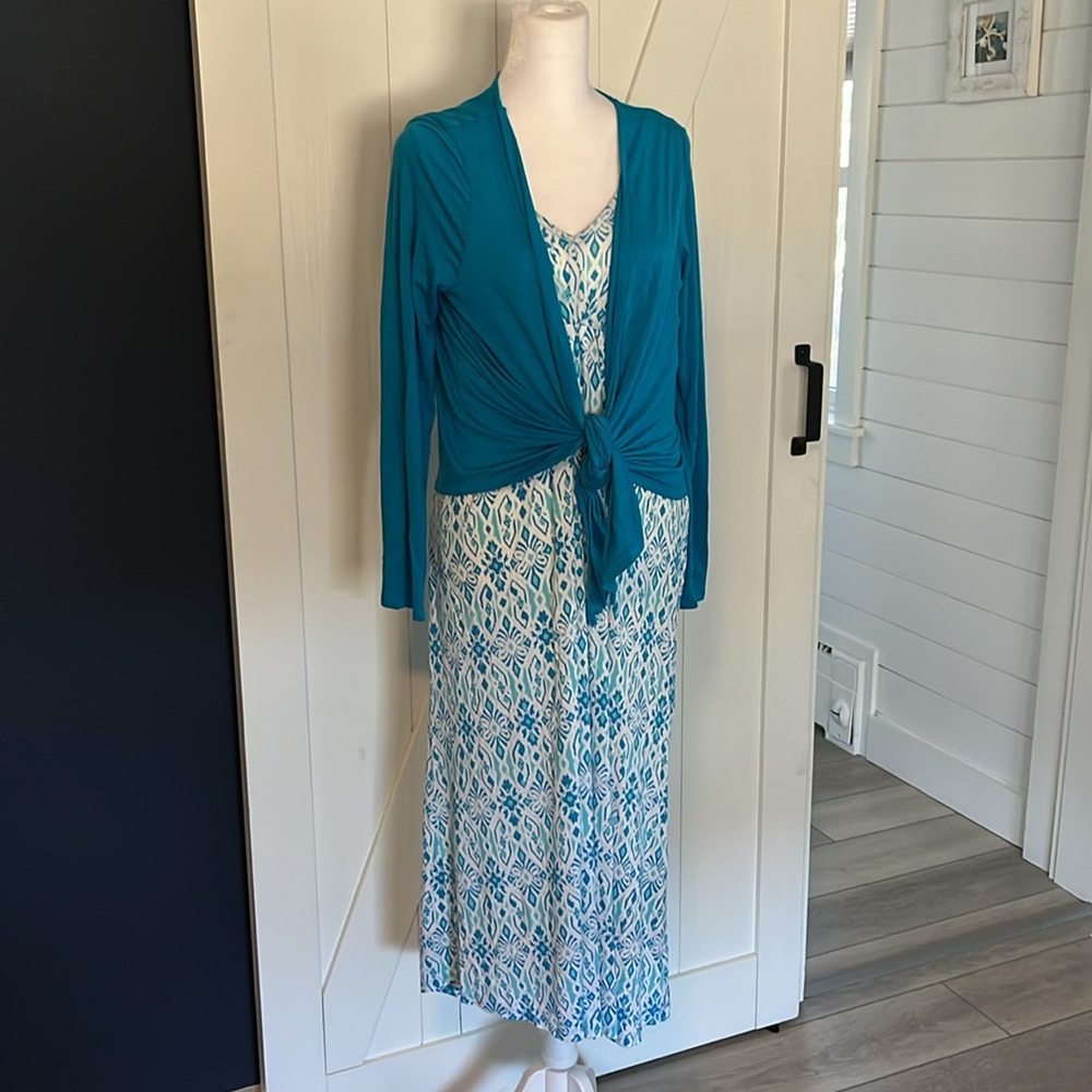 Midnight by Carole Hochman Blue & White Printed Sleeveless Maxi Nightgown - Picture 3 of 7